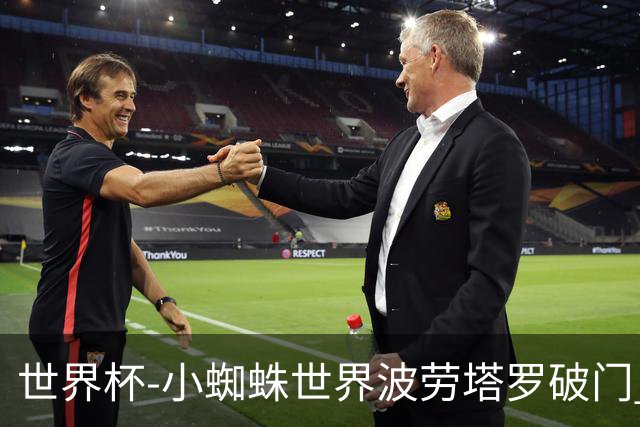 世界杯-小蜘蛛世界波劳塔罗破门 阿根廷加时3-1瑞士将战英格兰