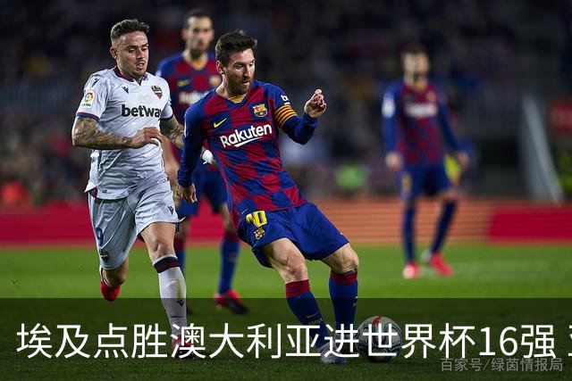 埃及点胜澳大利亚进世界杯16强 亚洲区全军覆没